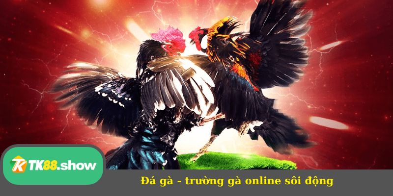 Đá gà - Trường gà online sôi động